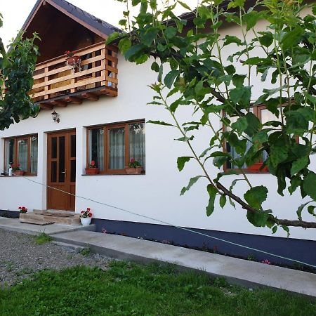Pensiunea Ilea Ieud Exteriér fotografie