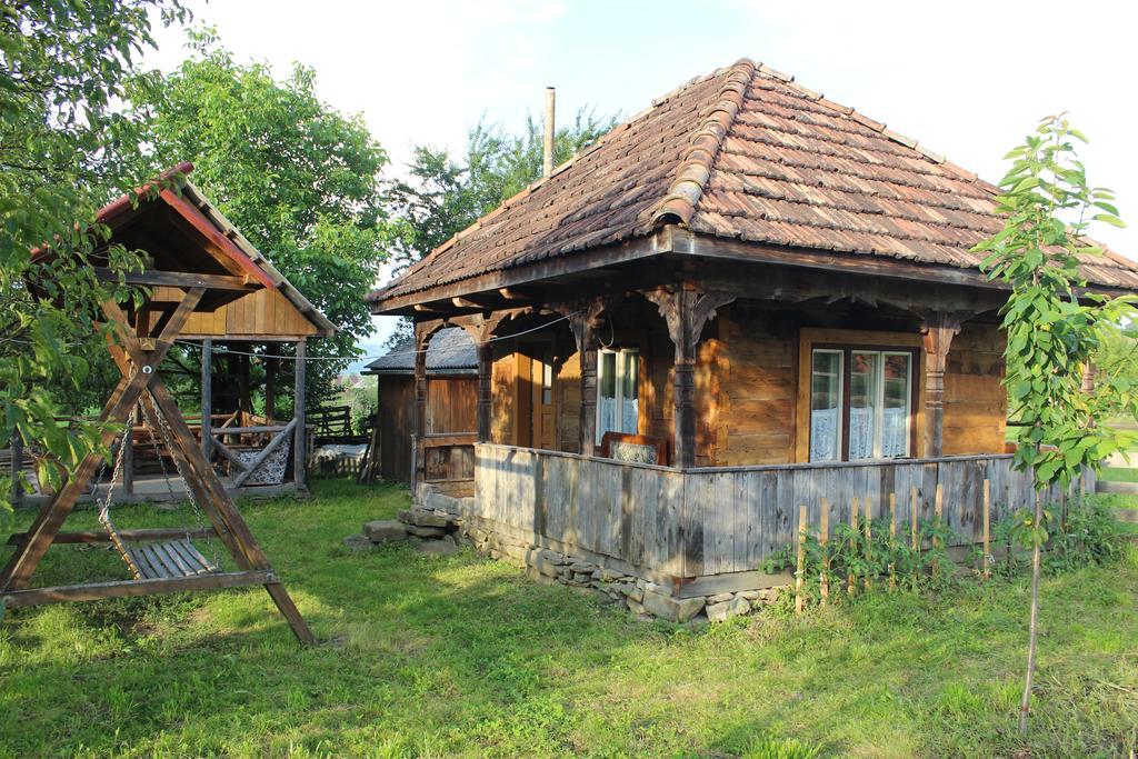 Pensiunea Ilea Ieud Exteriér fotografie