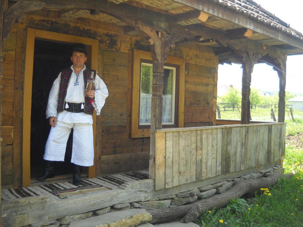 Pensiunea Ilea Ieud Exteriér fotografie