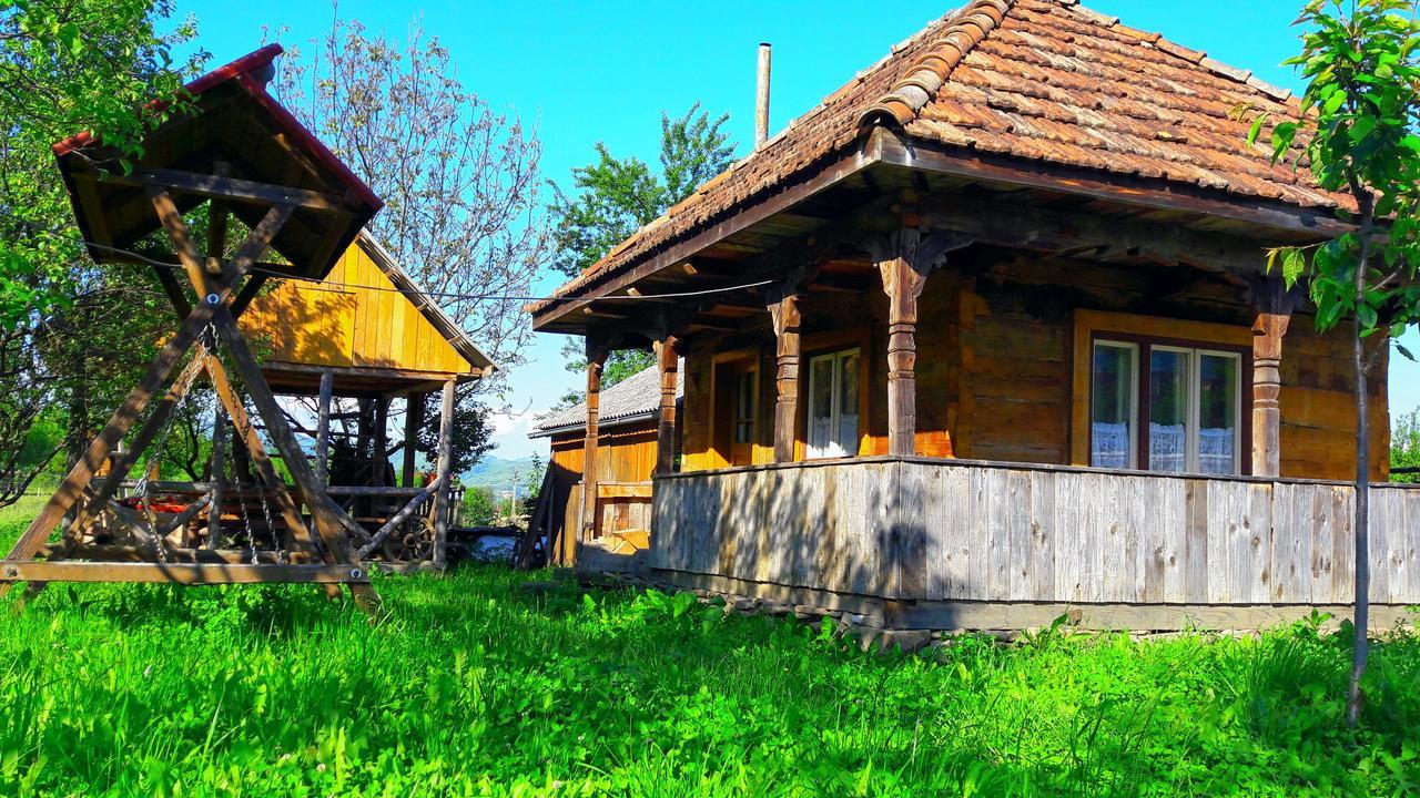 Pensiunea Ilea Ieud Exteriér fotografie