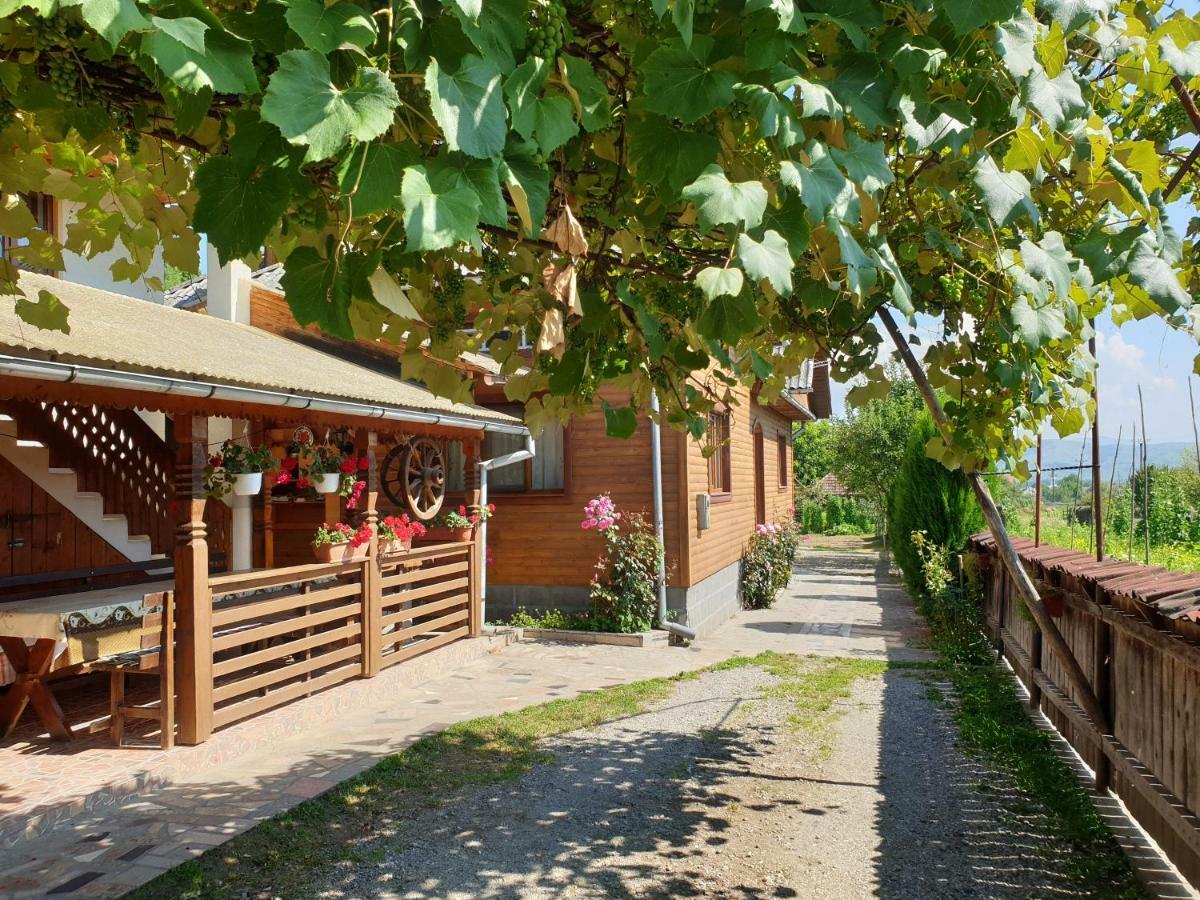 Pensiunea Ilea Ieud Exteriér fotografie