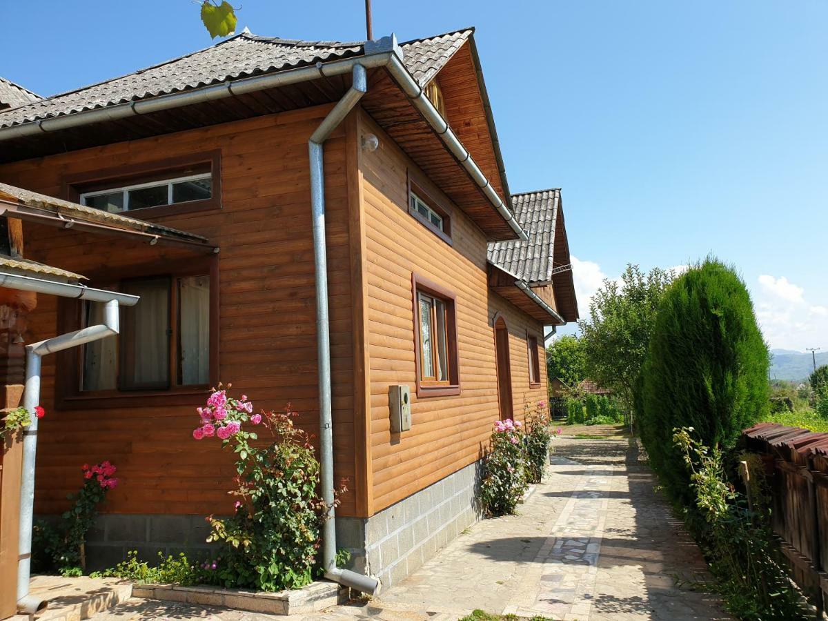 Pensiunea Ilea Ieud Exteriér fotografie