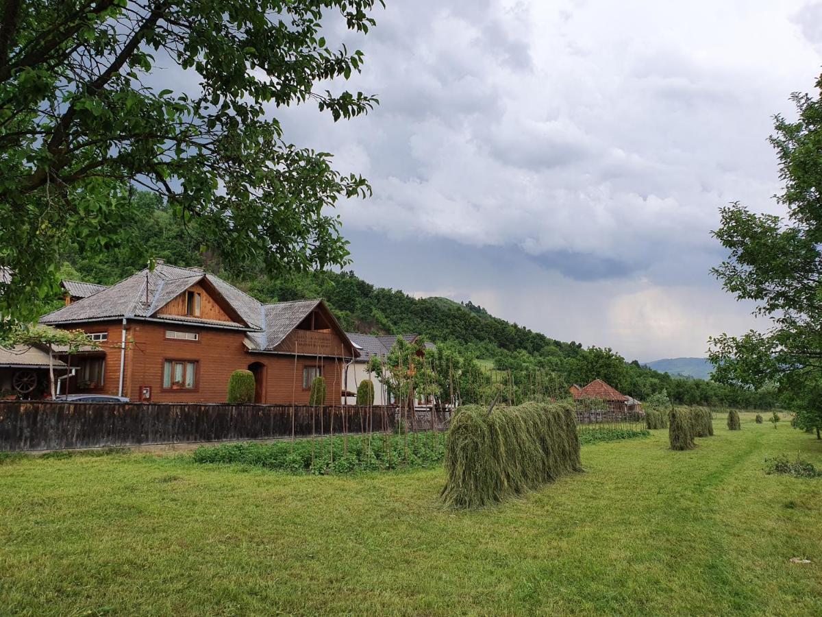 Pensiunea Ilea Ieud Exteriér fotografie