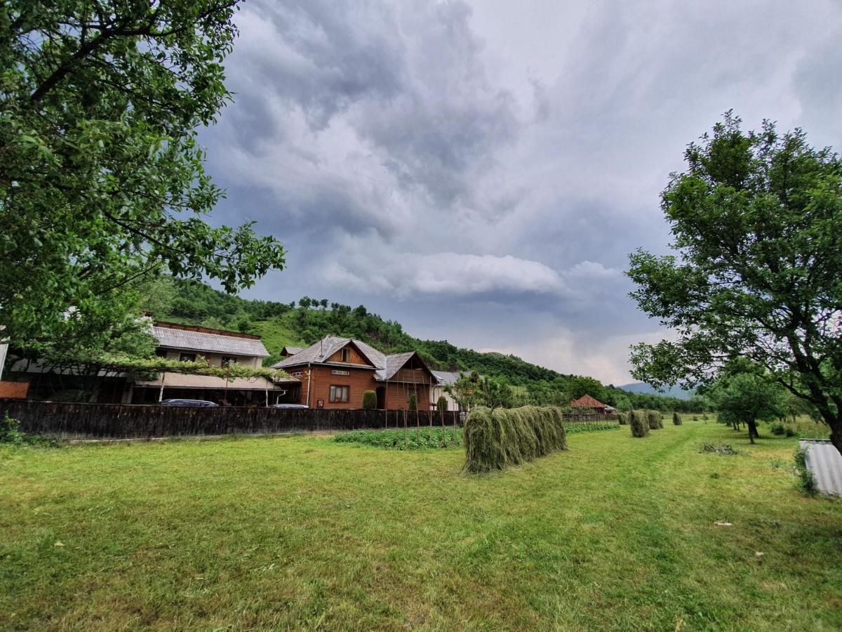 Pensiunea Ilea Ieud Exteriér fotografie