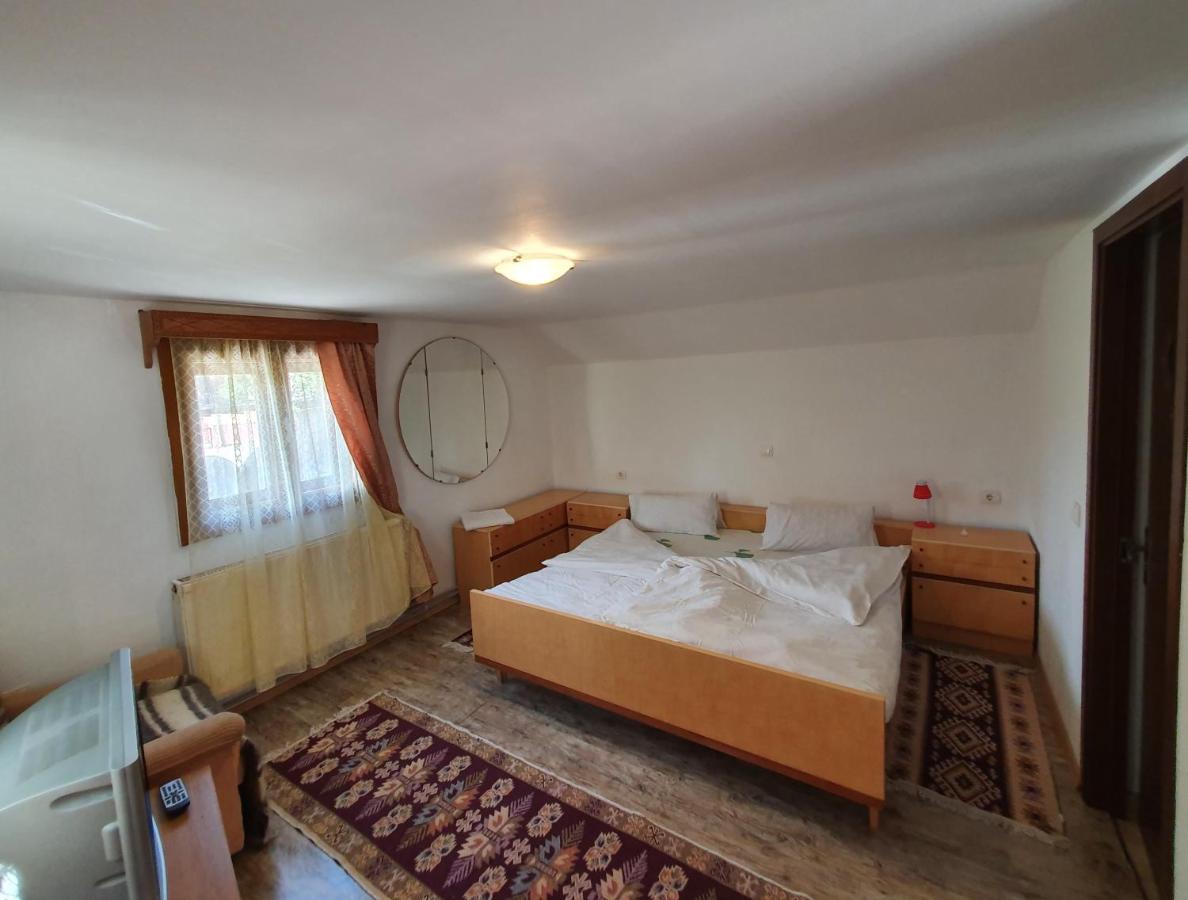 Pensiunea Ilea Ieud Exteriér fotografie