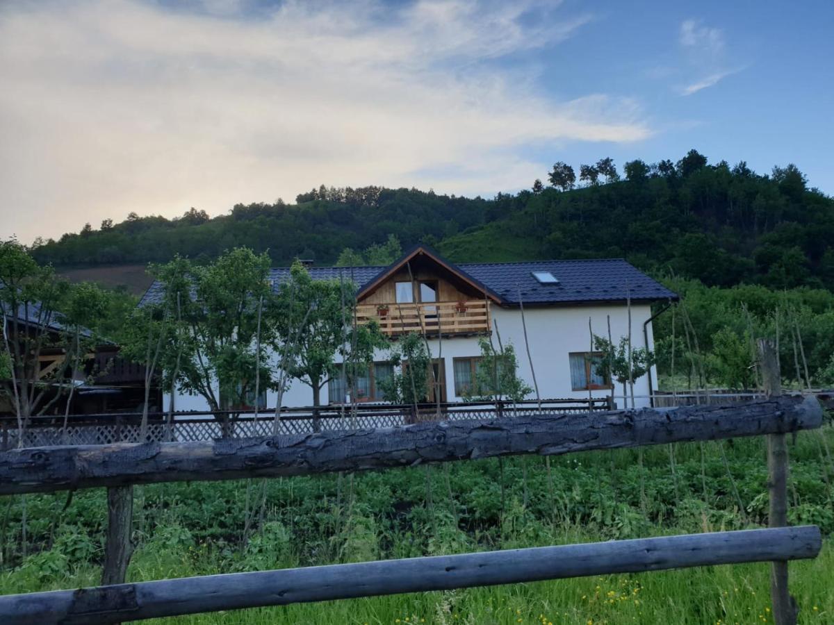 Pensiunea Ilea Ieud Exteriér fotografie